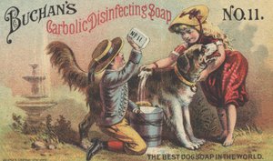 Advertentie voor Buchans Carbolic Disinfecting Soap No. 11, c.1880 door American School