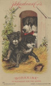 Advertentie voor J. D. Larkin & Cos Boraxine, 1882