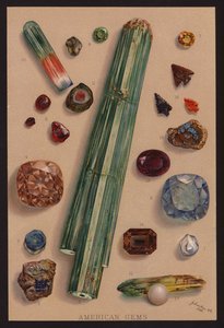 Amerikaanse edelstenen (kleurenlitho) door American School