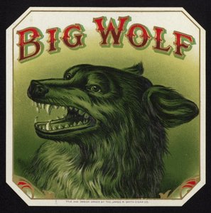 Zwarte wolf ontbloot tanden door American School