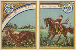 Jongen spant zich in te paard