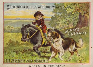 Jongen rijdt op een pony met zijn hond