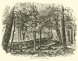 Schans in het bos