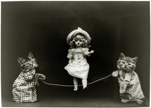 Kattennieuwsgierigheid, 1891