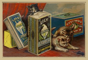 Katten Zoeken naar Muis tussen Stijfselpakketten