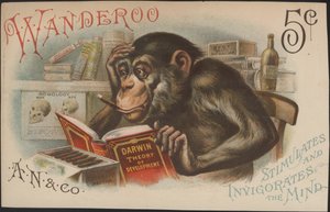 Charles Darwin, Theorie van Ontwikkeling (d.w.z. Evolutie) door American School