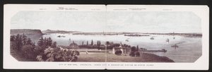 Stad New York, Brooklyn, Jersey City & Quarantaine Station op Staten Island, ca. 1850 (kleur litho) door American School