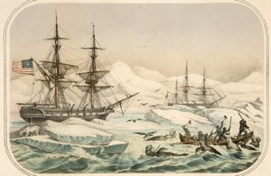 Bemanning van een walvisvaarder aangevallen door walrussen door American School