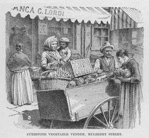 Straatverkoper van groenten, Mulberry Street (litho) door American School