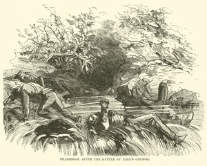 Deadbrook na de Slag bij Ezras Kerk, augustus 1864 door American School