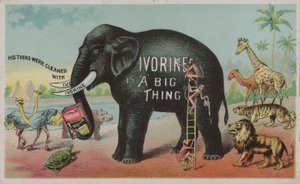 Olifant die Ivorine zeep adverteert door American School
