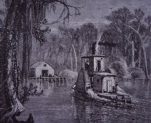 Florida Everglades scène