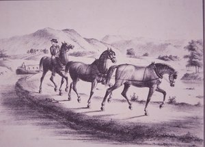 Paarden trekken een kanaalboot op het Erie-kanaal (gravure) door American School