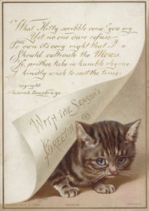 Kitten verstopt zich onder brief door American School