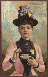 Dame roert in theekopje