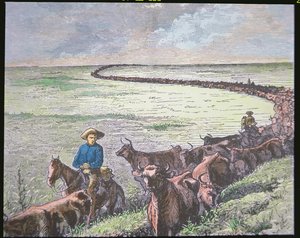 Longhorn veedrijver van Texas naar Abilene, Kansas, c.1870s door American School