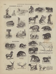 Pagina uit Websters Complete woordenboek (George Bell door American School