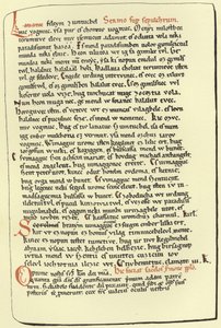Pagina uit een Hongaarse verhandeling over het graf door American School