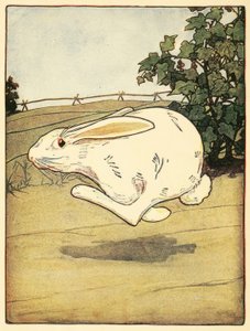 Peter stopte nooit met rennen, uit Het verhaal van Peter Rabbit