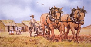 Pionierboer