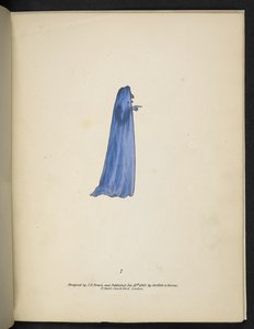 Plaat 7. Een geest in blauw. Spectropia; of, Verrassende spookachtige illusies die overal geesten tonen, en in elke kleur, enz. ser. 1. J.H. Brown 1864