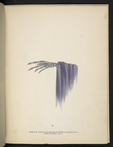 Een skeletale hand, uit 