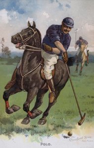 Polo (kleurenlitho)