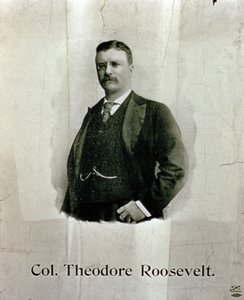 Portret van Kolonel Theodore Roosevelt door American School