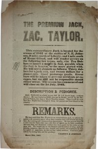 Handelingen en toespraak van de Constitutionele Conventie, ca. 19 maart 1861