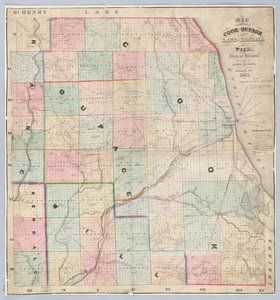 Rees Kaart van Cook en DuPage Counties door American School