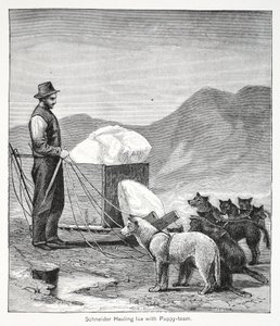 Schneider die ijs sleept met het puppy-team, Londen 1886
