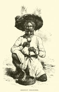 Slangenbezweerder