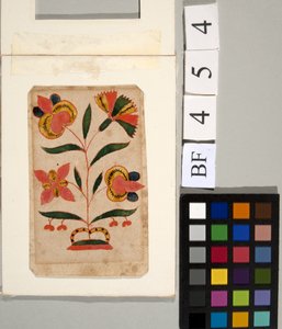 Studie van bloemen