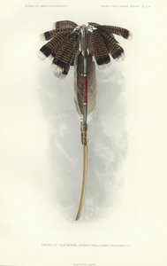 Zwaard van Thlewekwe (broederschap van zwaardvechters) (kleurenlitho) door American School