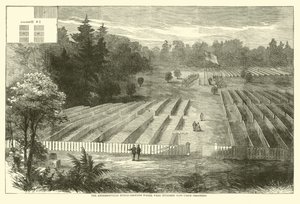 De Andersonville begraafplaats waar 14.000 Uniegevangenen werden begraven, mei 1865