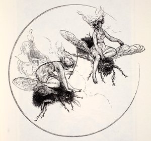 De Fays, uit The World Guide to Gnomes, Fairies, Elves and Other Little People door Thomas Keightley (1789-1872) gepubliceerd 1880 door American School