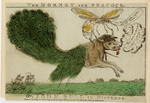 De Hornet en Peacock, of, John Bull in nood, 1813
