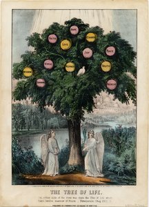 De boom des levens