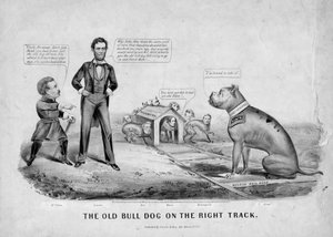 De oude bulldog op het juiste spoor