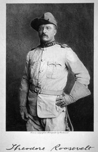 Theodore Roosevelt door American School