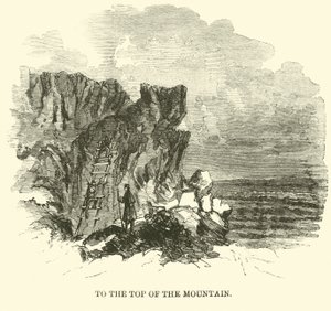 Naar de top van de berg, november 1863 door American School