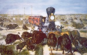 Treinpassagiers op de Kansas Pacific Railroad, buffels schietend voor sport in de jaren 1870 door American School
