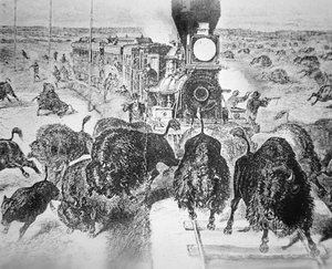 Treinpassagiers op de Kansas Pacific Railroad, buffels schieten voor sport in de jaren 1870
