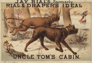 Twee honden in het bos
