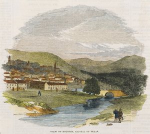 Uitzicht op Houston, hoofdstad van Texas, c. 1852 door American School