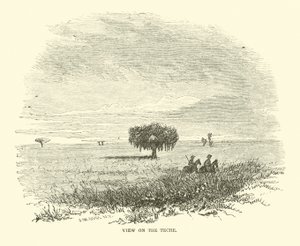 Uitzicht op de Teche, april 1863