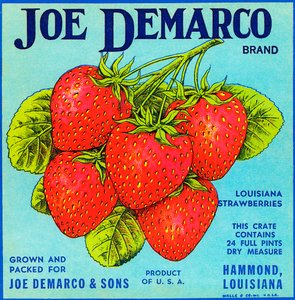 Vintage aardbeien fruitkratlabel door American School