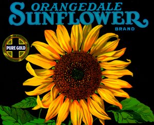 Vintage zonnebloem fruitkratlabel door American School