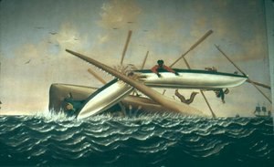 Walvis valt een lange boot aan