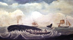 Walvisvangst in de Zuidelijke Stille Oceaan